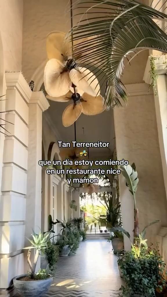 Post 6 by ʀᴇɴᴀᴛᴀ 𝗚| Tu guía Toluca ❤️ on Instagram (video)