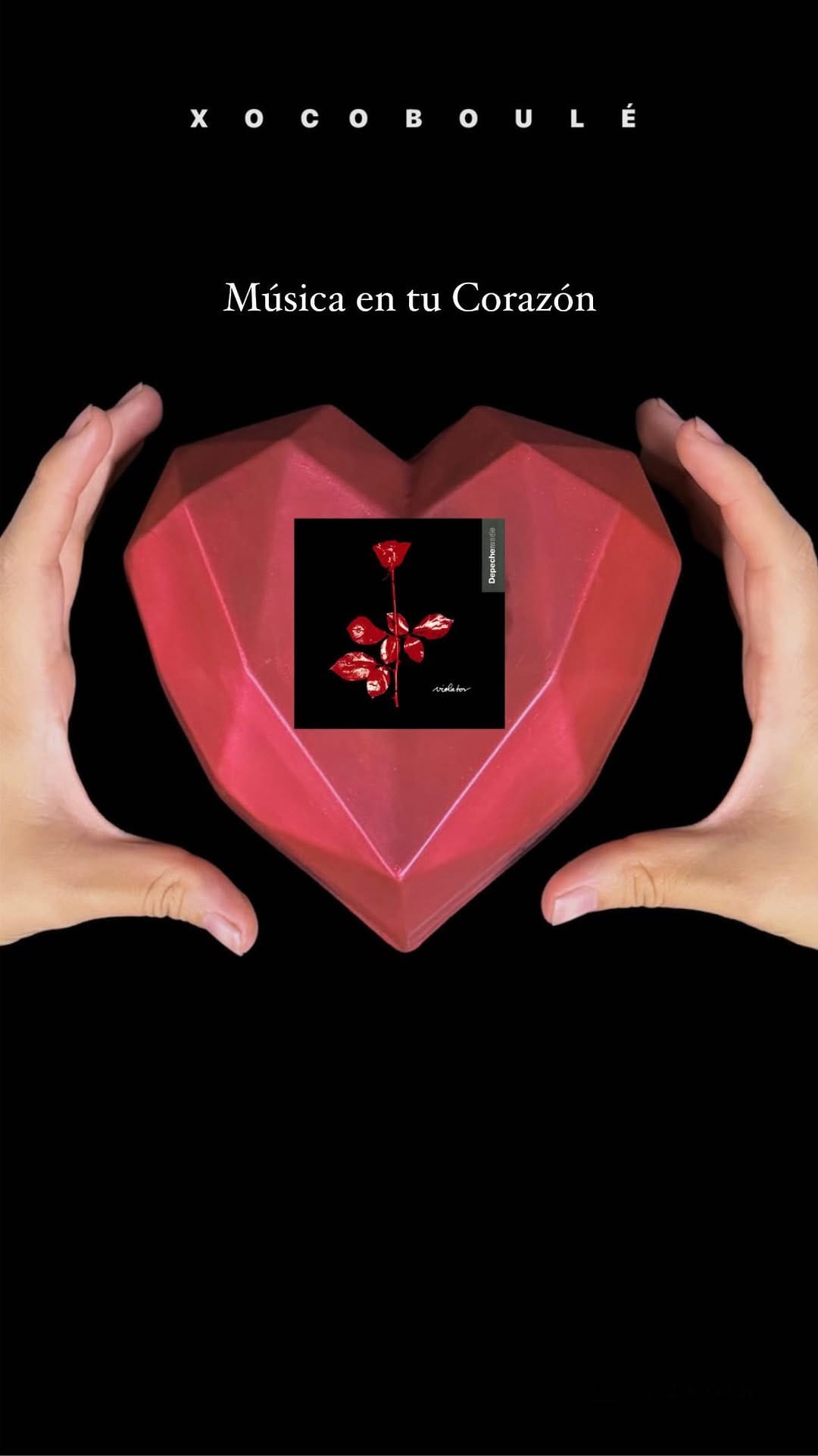 Post 9 by XOCOBOULÉ ®  Chocolatería Premium Vegan on Instagram (video)