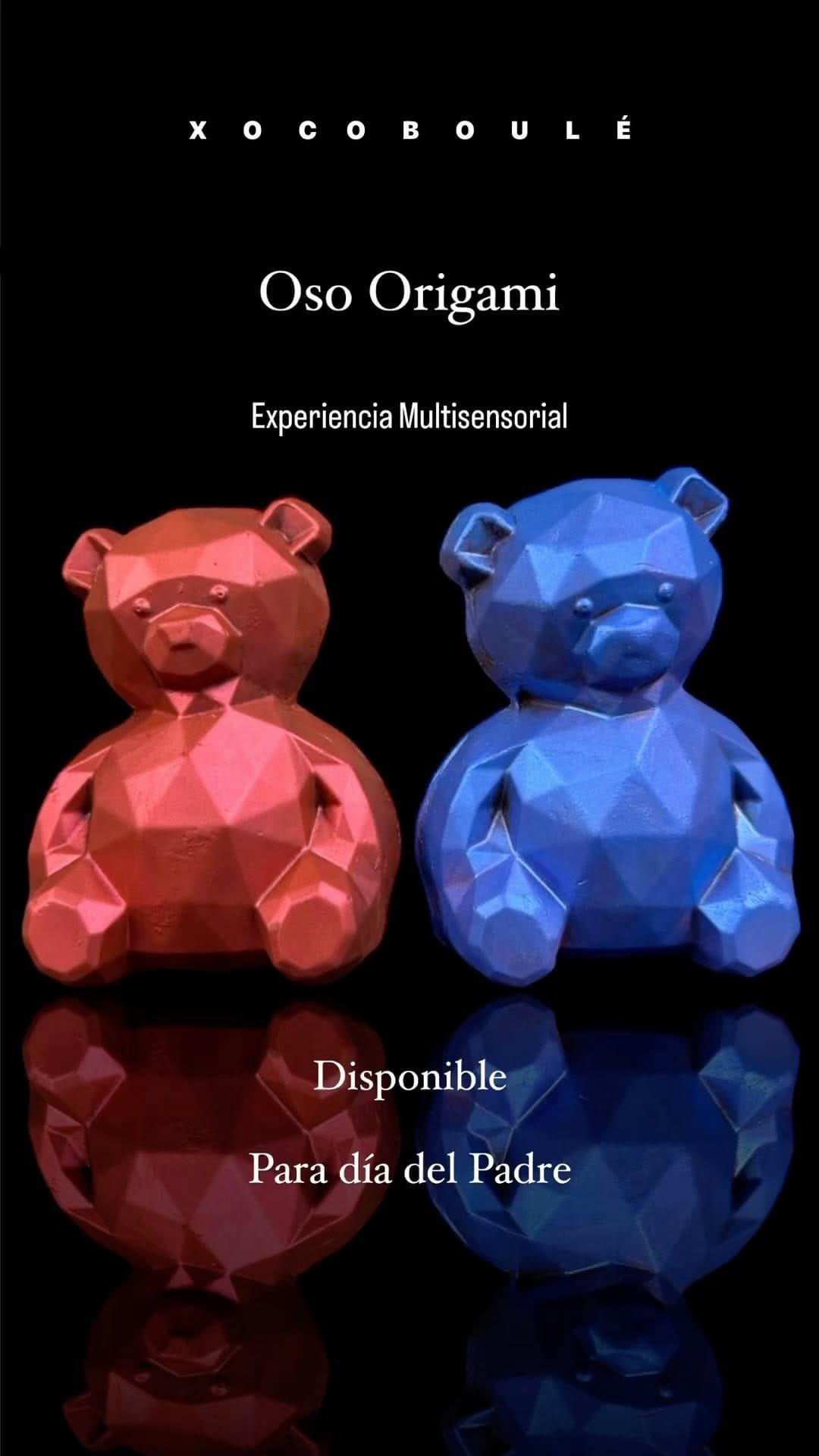 Post 4 by XOCOBOULÉ ®  Chocolatería Premium Vegan on Instagram (video)