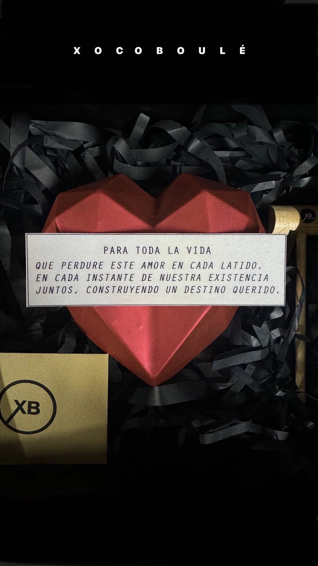 Post 10 by XOCOBOULÉ ®  Chocolatería Premium Vegan on Instagram (video)