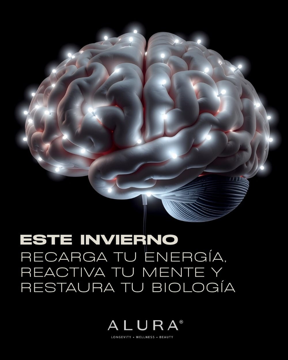 Post 5 by Dra. Steph | Brain & Beauty on Instagram (image)