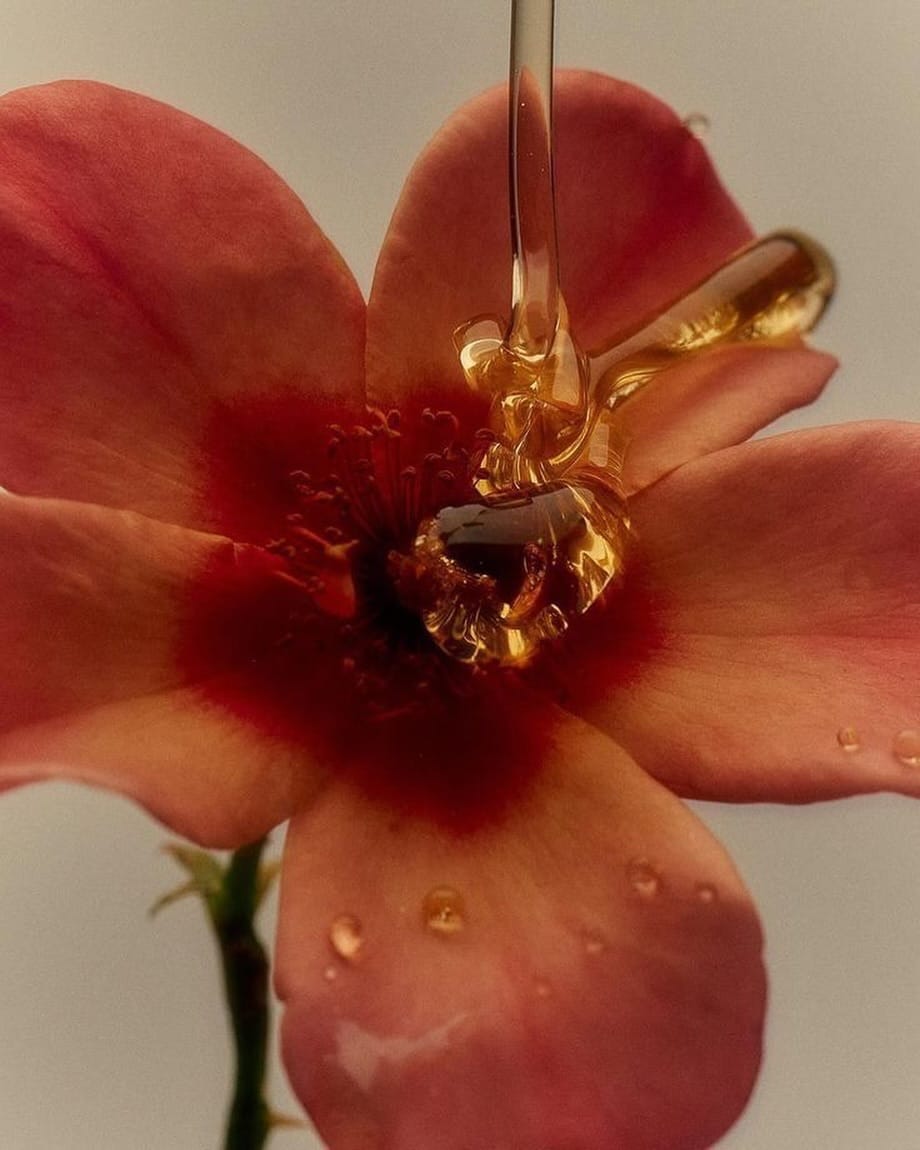 Post 2 by YUCATAN SENSES on Instagram (image)