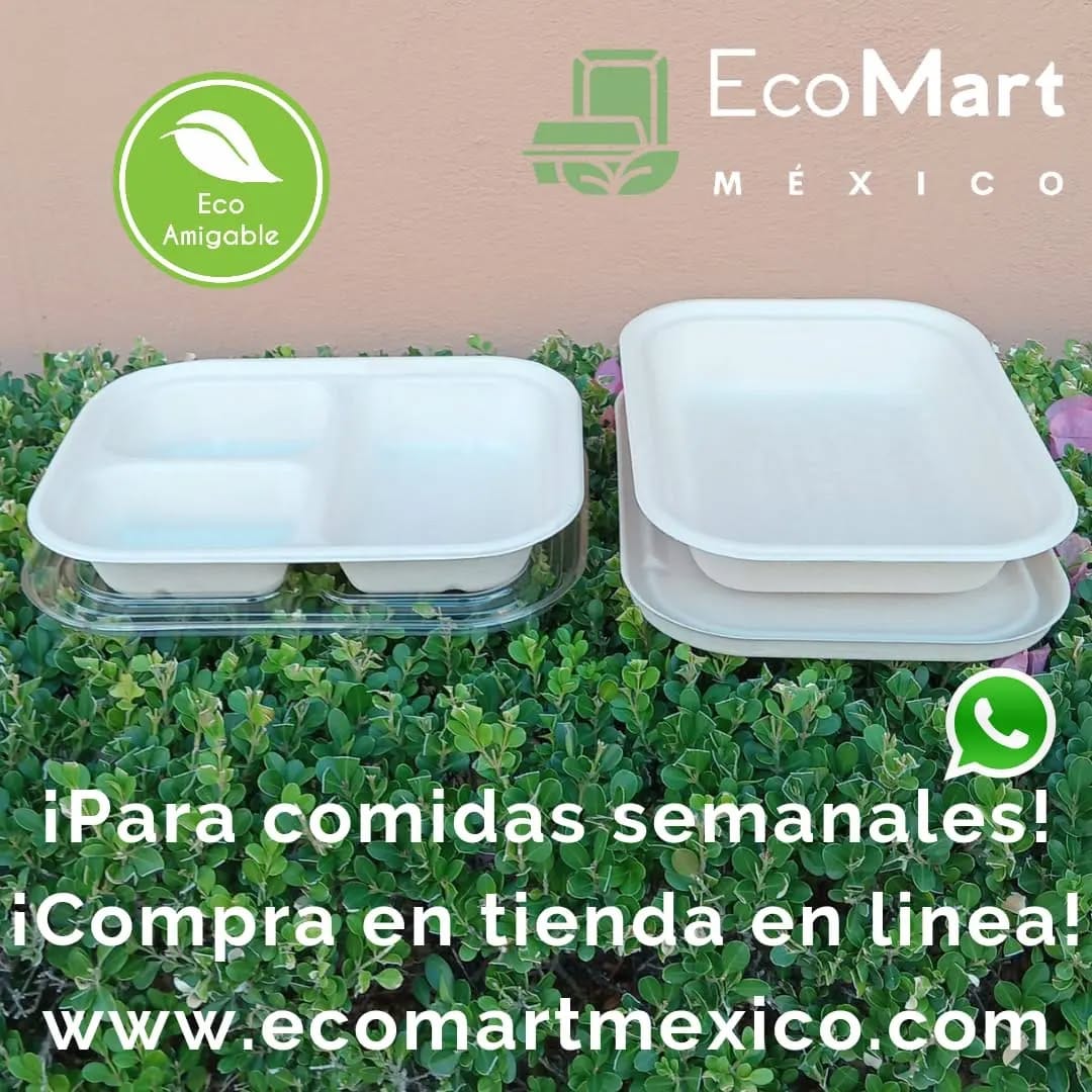 Post 7 by Eco Mart México 🌎🔝⛓♻️🇲🇽🛡🌳 on Instagram (image)