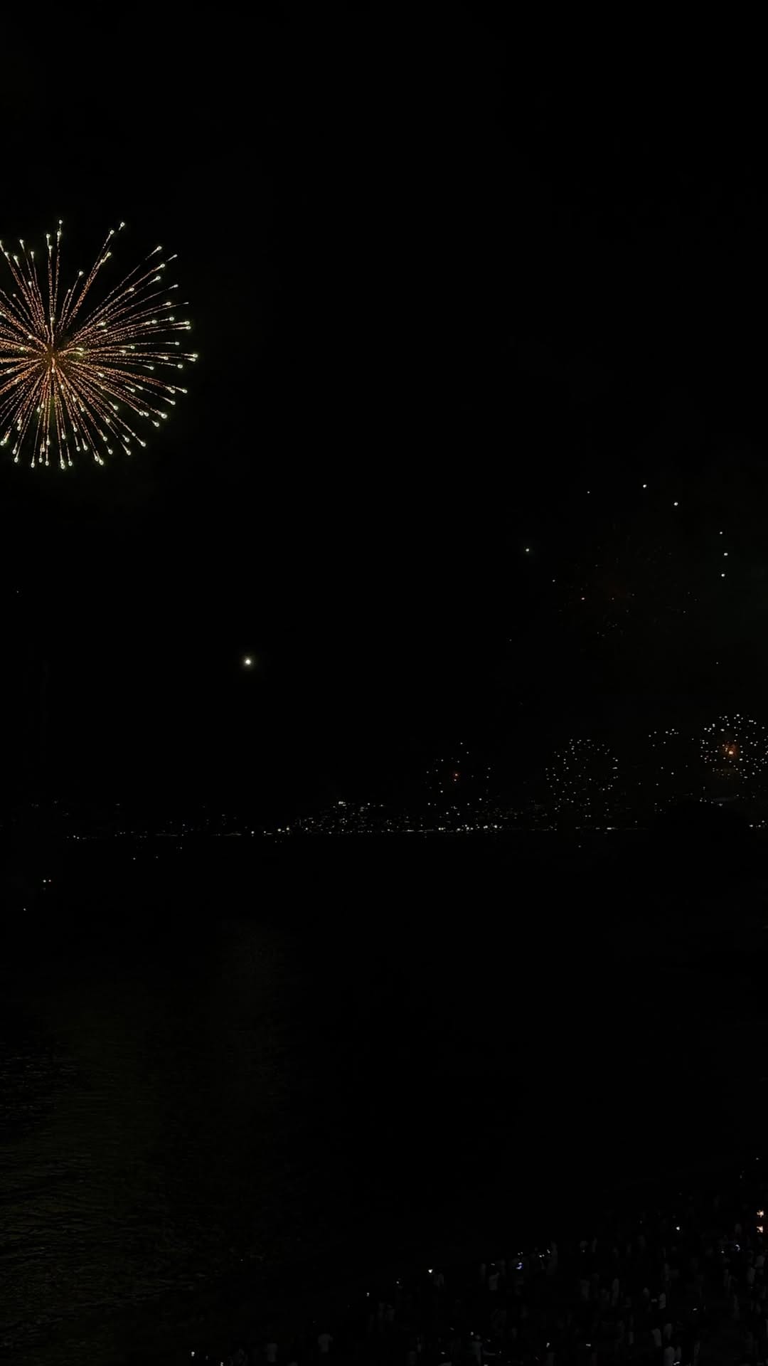 Post 7 by Paulina Barrera Islas on Instagram (video)
