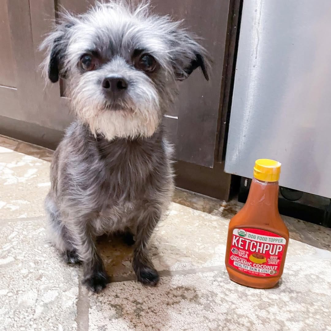 Post 6 by Luna and Lulu|Dog Influencers on Instagram (carousel)