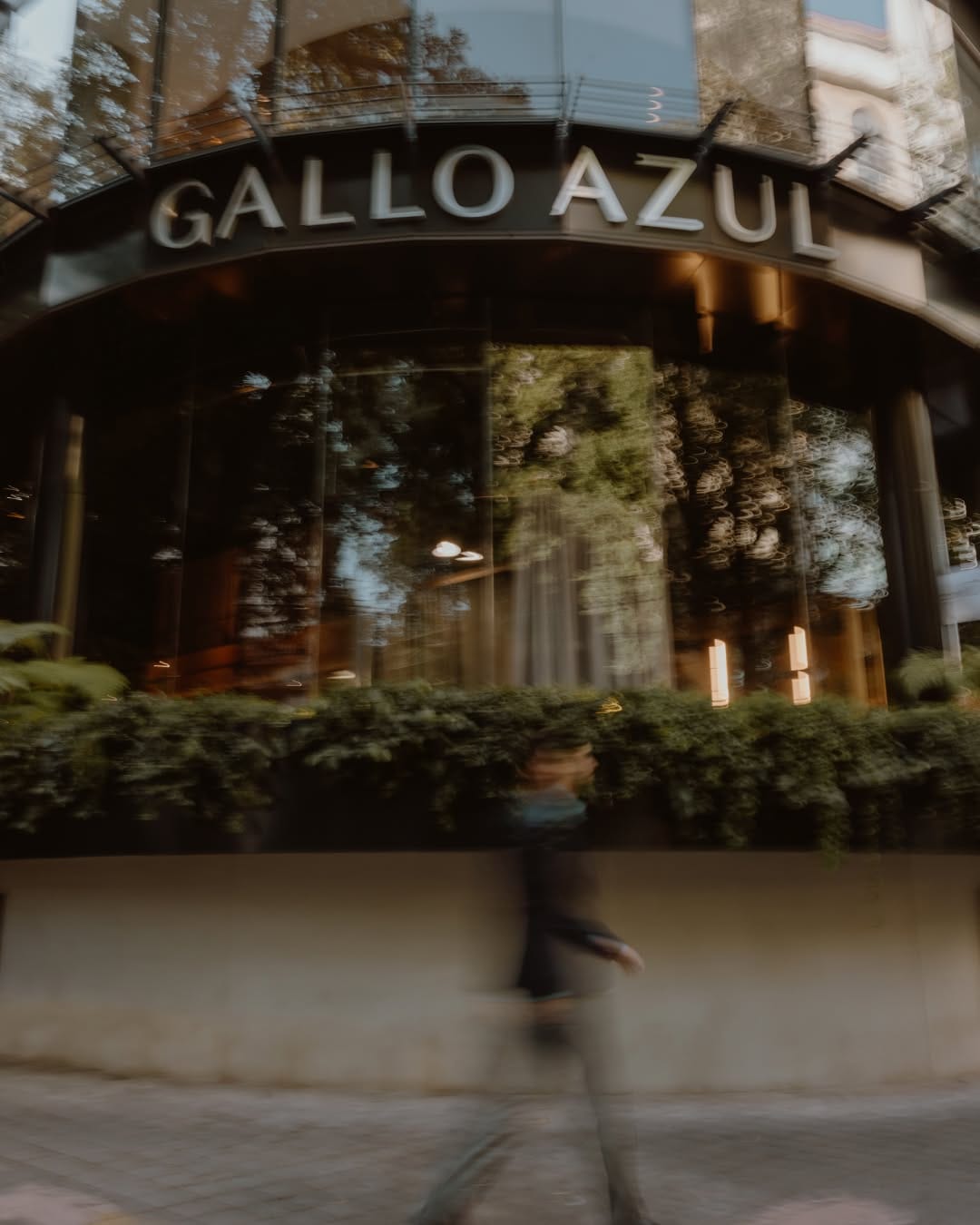Post 2 by Gallo Azul on Instagram (carousel)