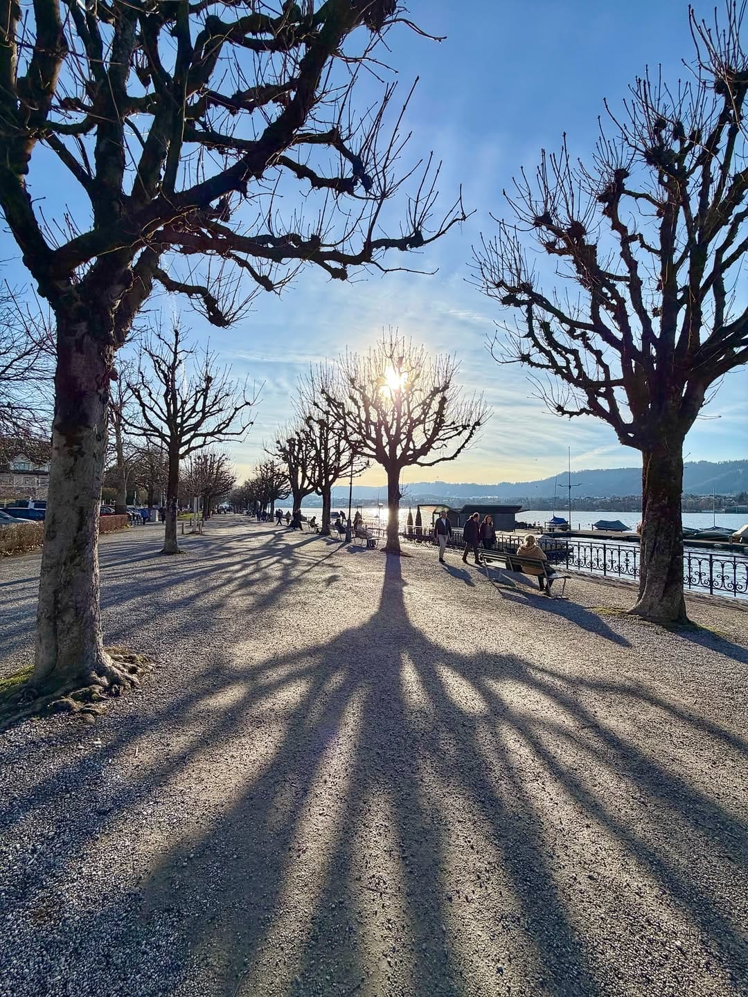 Post 9 by Manuela Leonhard on Instagram (carousel)