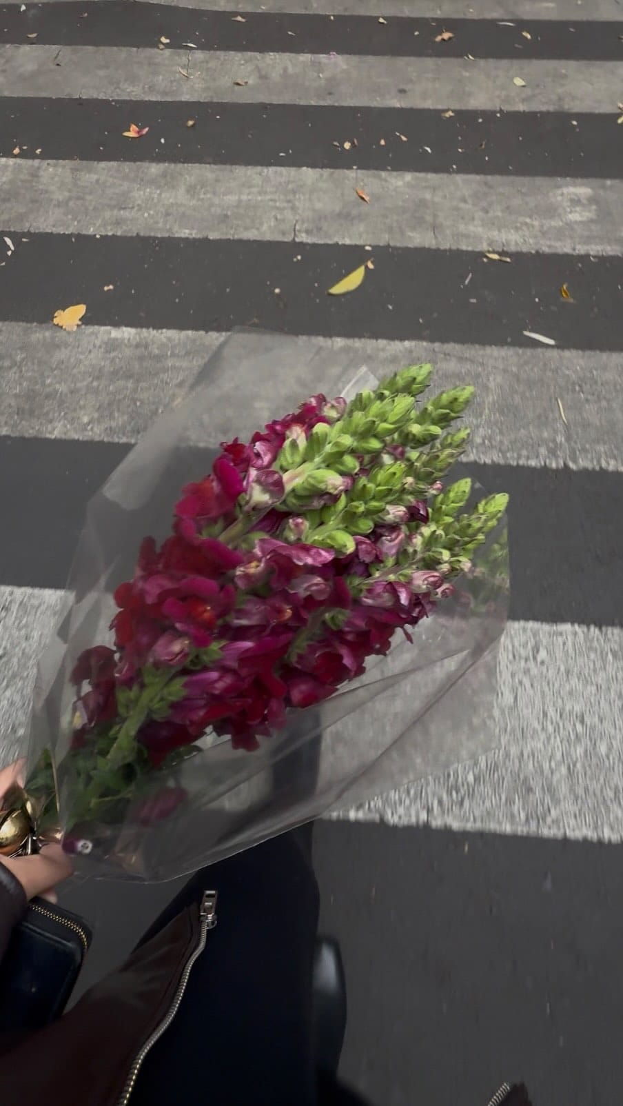 Post 3 by Nohemi Turrubiates on Instagram (video)