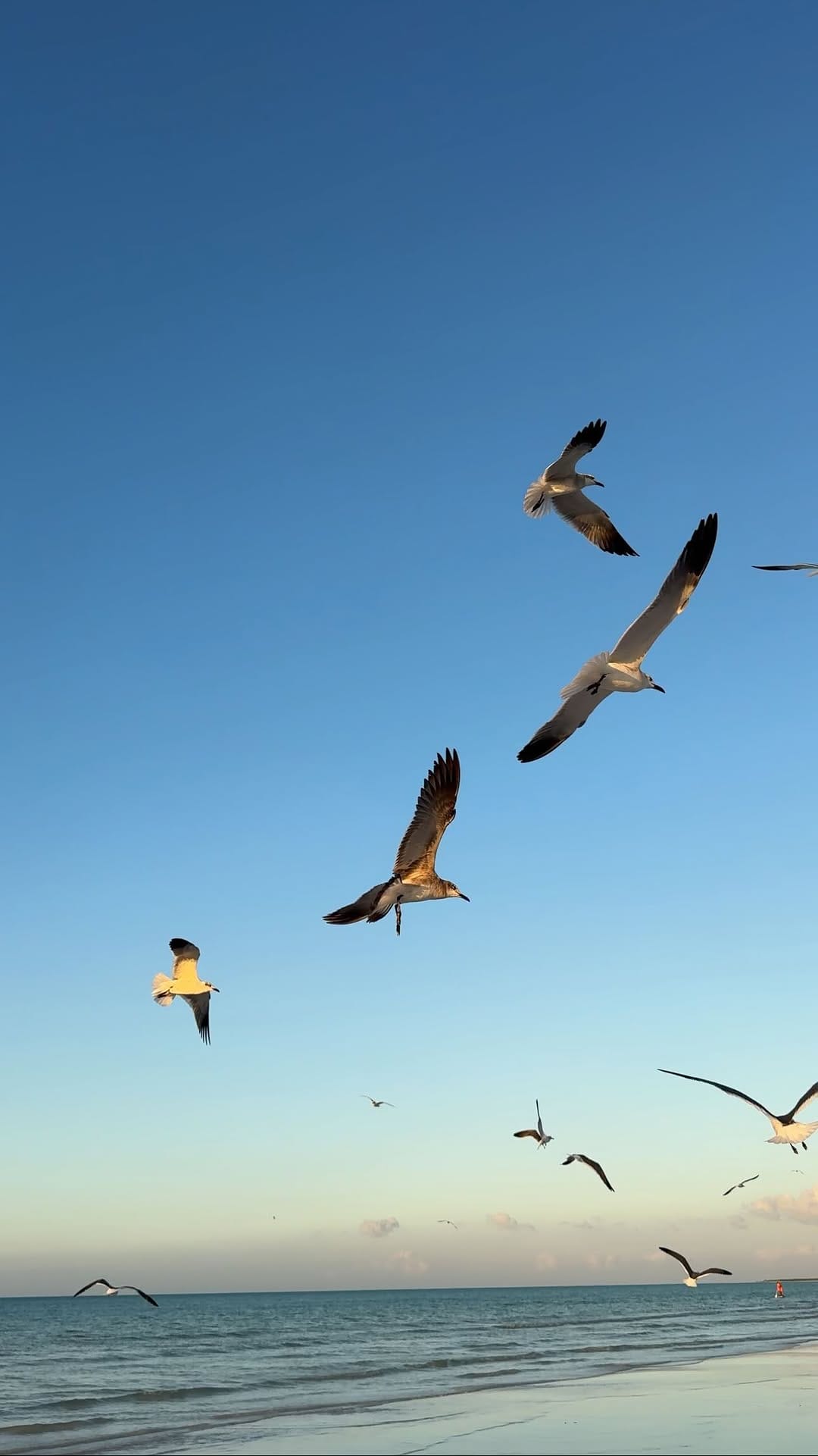 Post 1 by Le Bazaar Boutique Holbox on Instagram (video)
