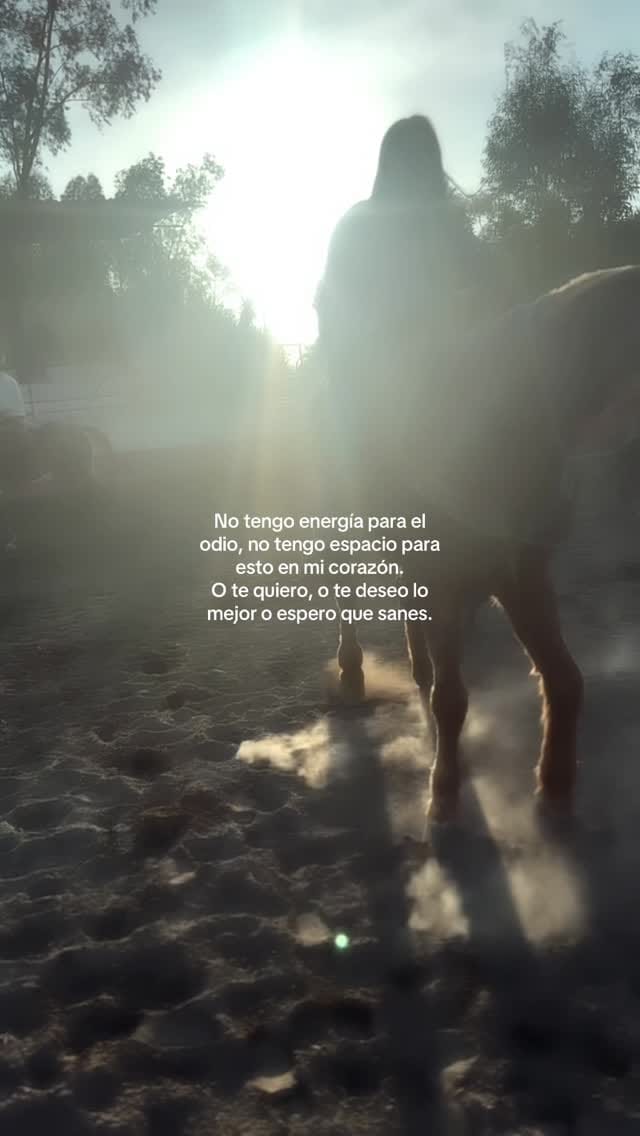 Post 9 by Valeria Montoya on Instagram (video)