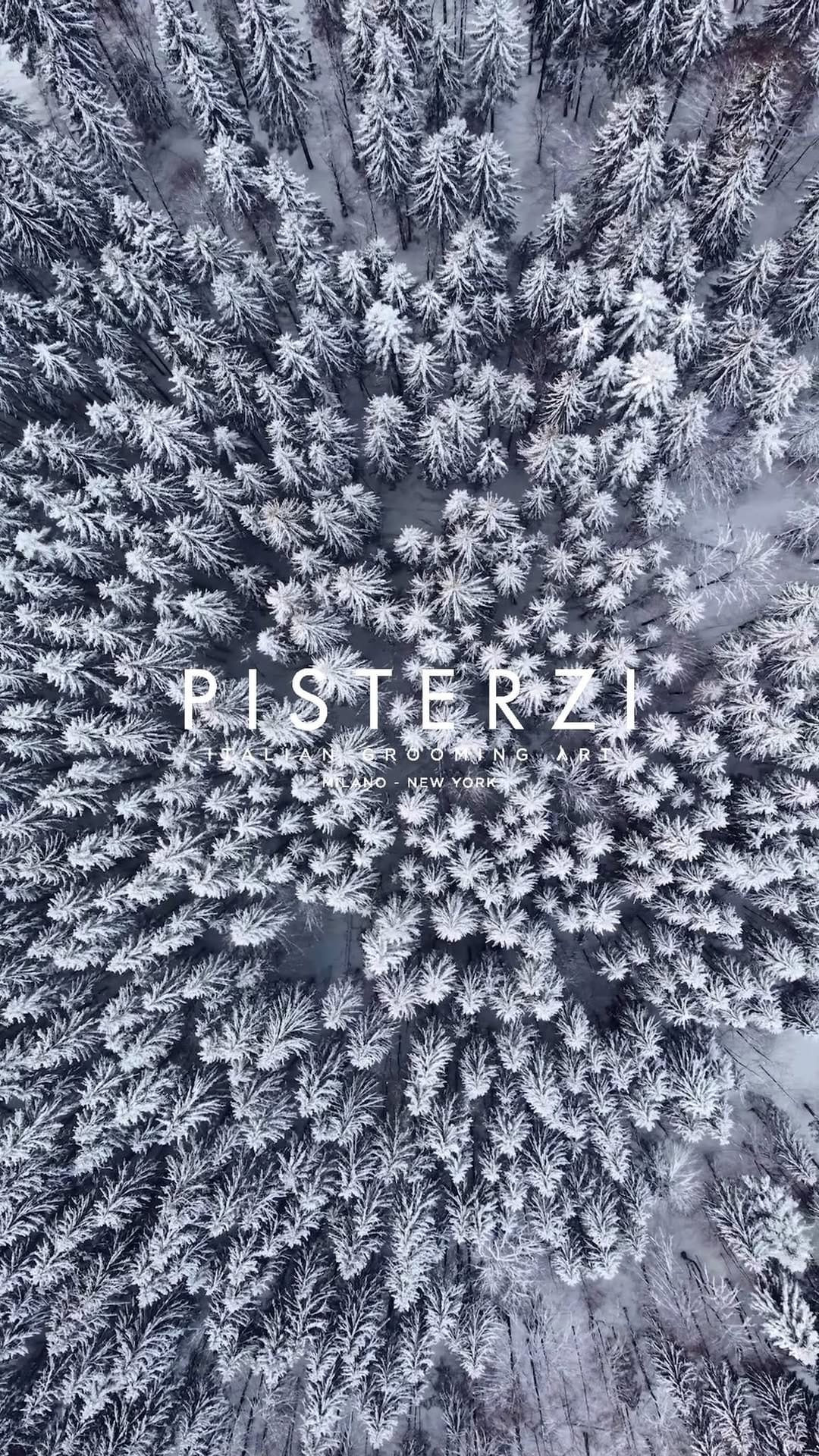 Post 3 by Pisterzi Italian Grooming Art on Instagram (video)