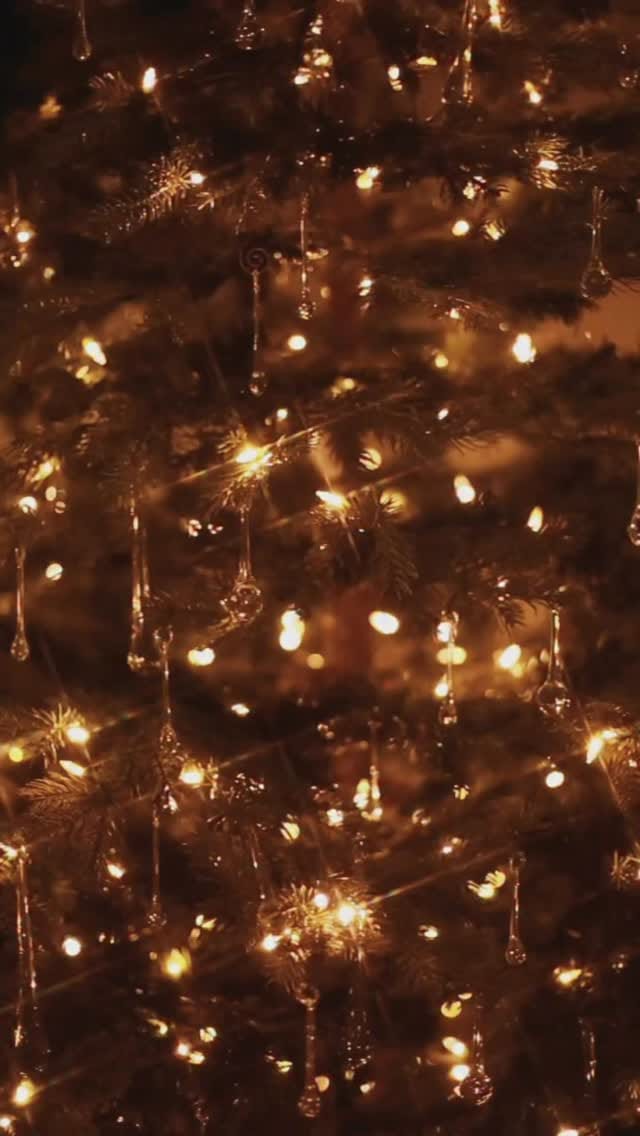 Post 1 by Bianca Aldama Zapatería on Instagram (video)