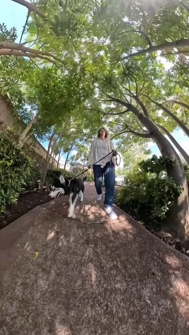 Post 7 by Alex Cabrera 📸 on Instagram (video)