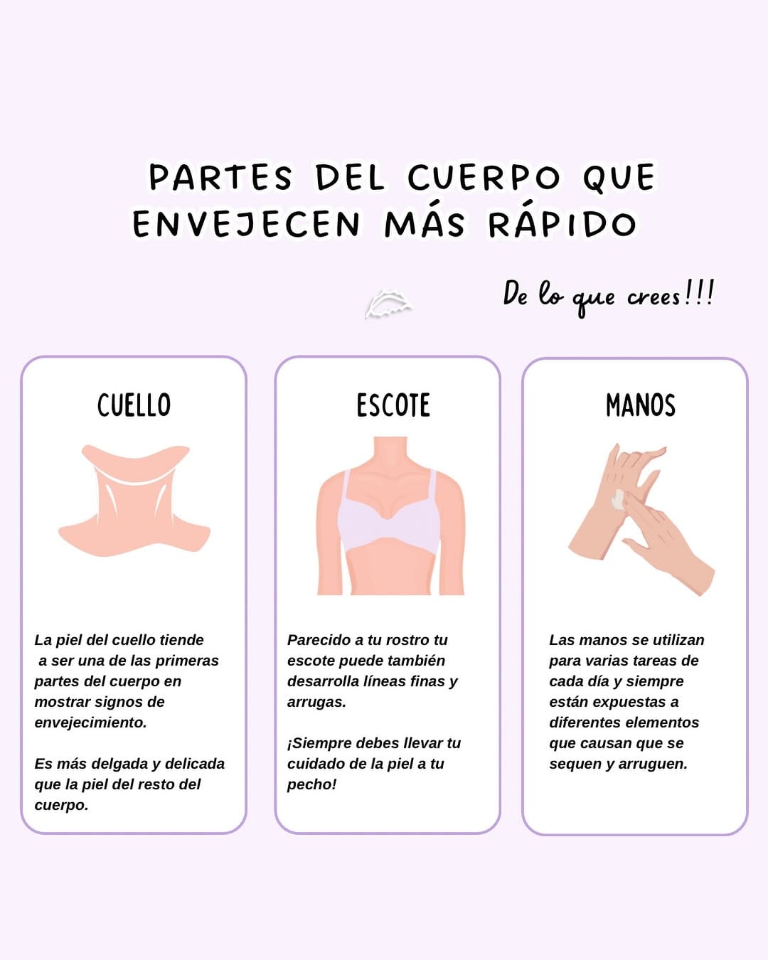 Post 3 by BELLUM ® on Instagram (image)