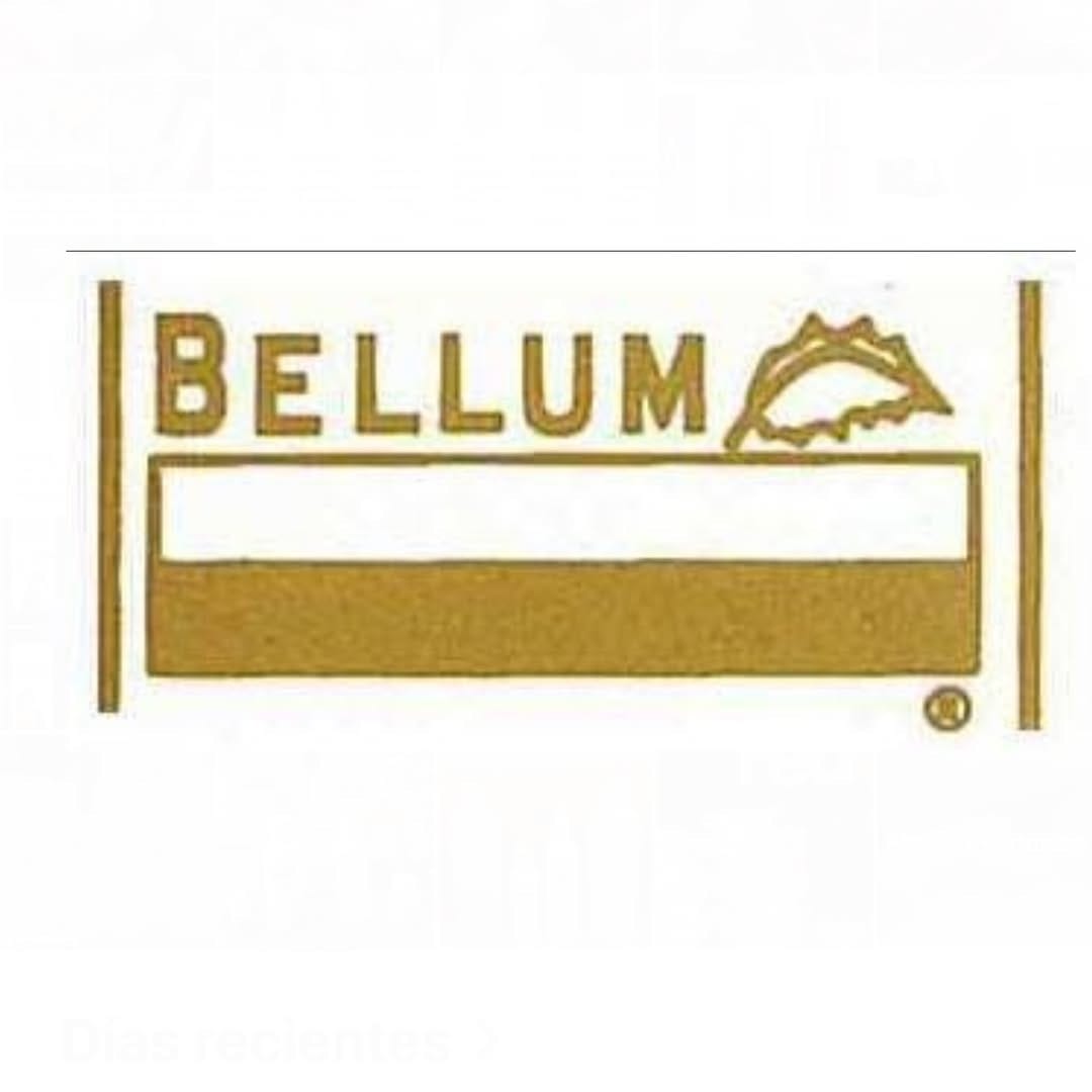 Post 10 by BELLUM ® on Instagram (carousel)