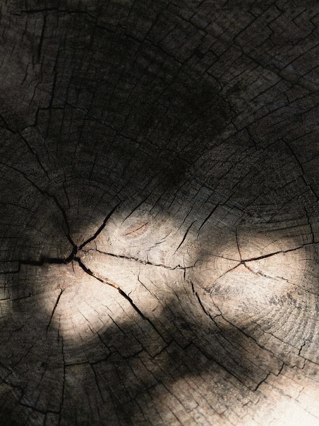 Post 1 by I Z A P A on Instagram (image)