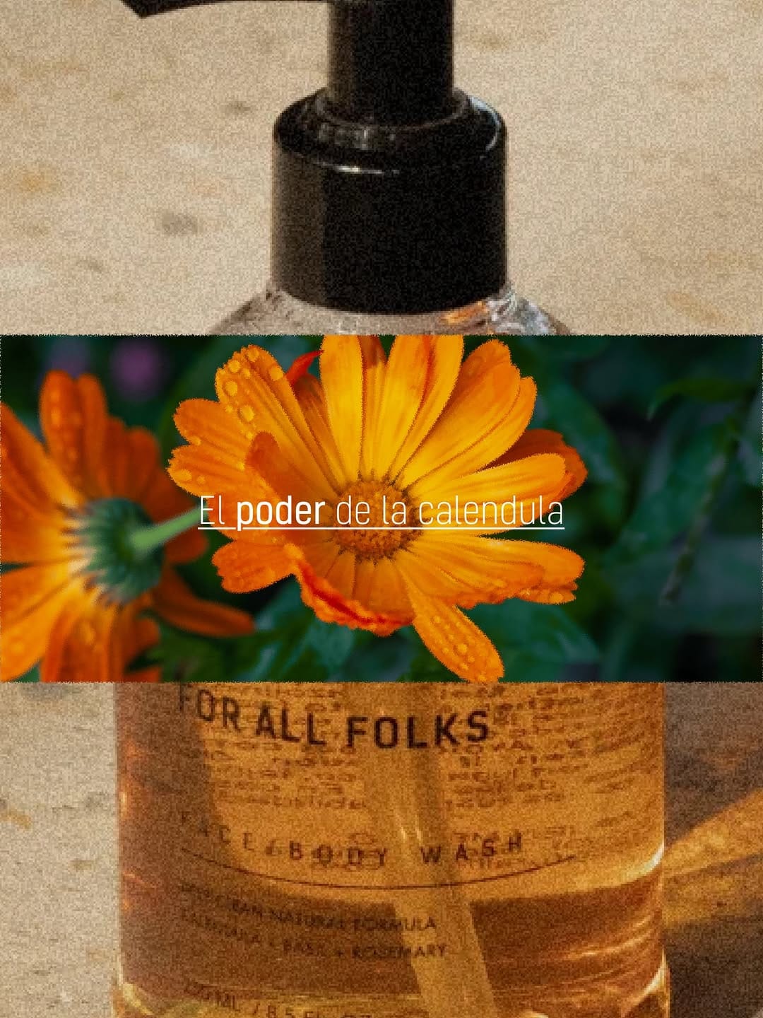 Post 6 by For All Folks on Instagram (carousel)