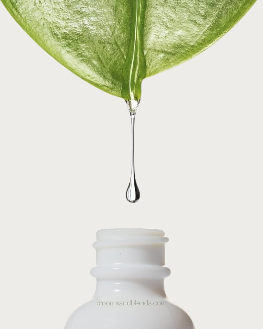 Post 8 by BLOOMS & BLENDS SKINCARE ® on Instagram (carousel)