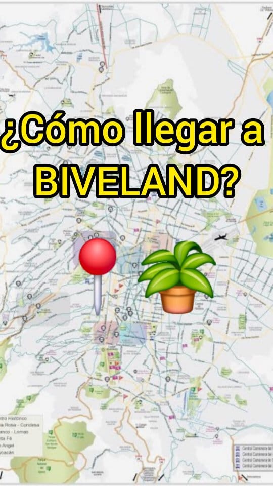 Post 8 by Macetas Biveland on Instagram (video)