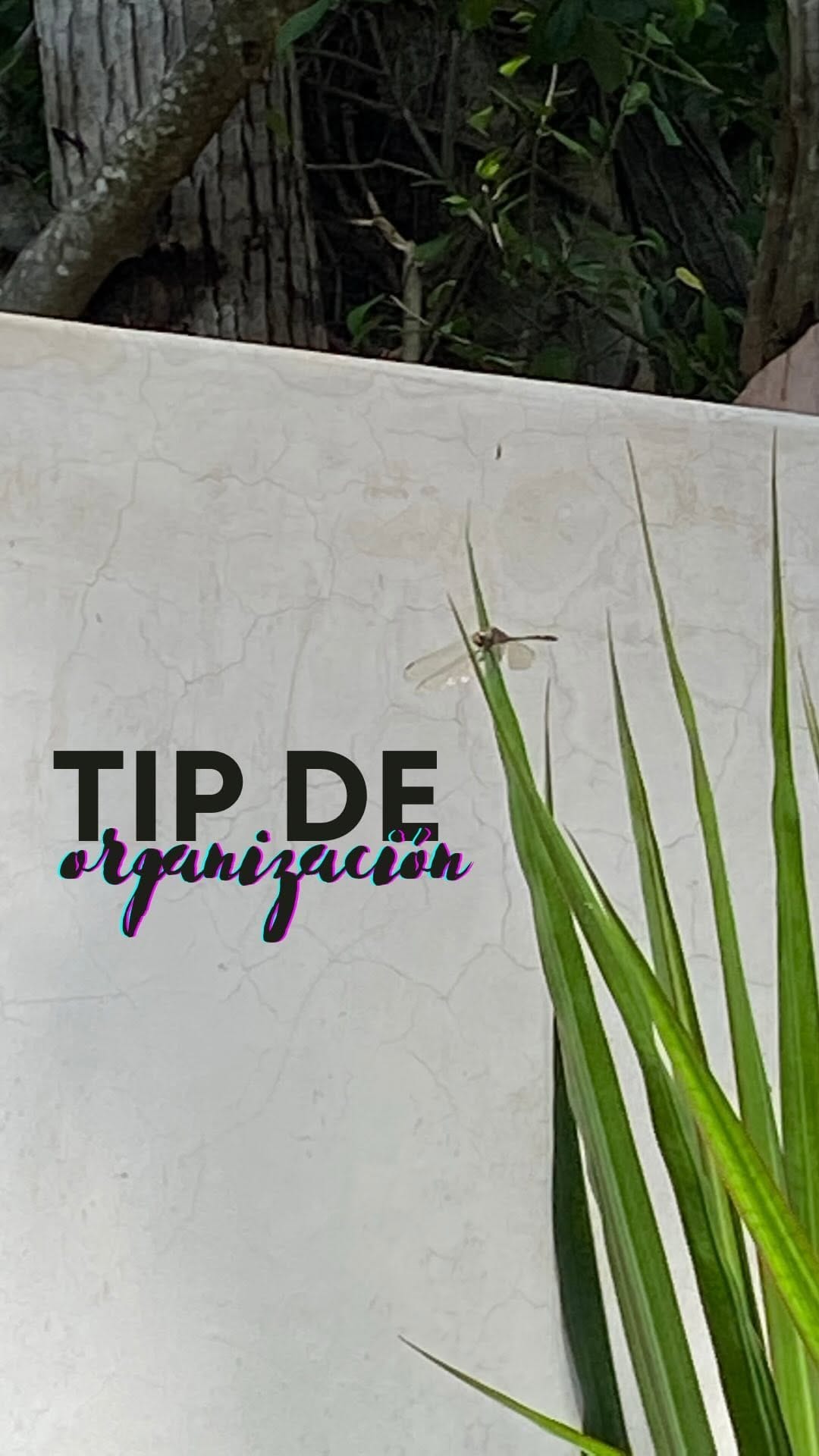 Post 9 by Trajes de baño y bikinis on Instagram (video)