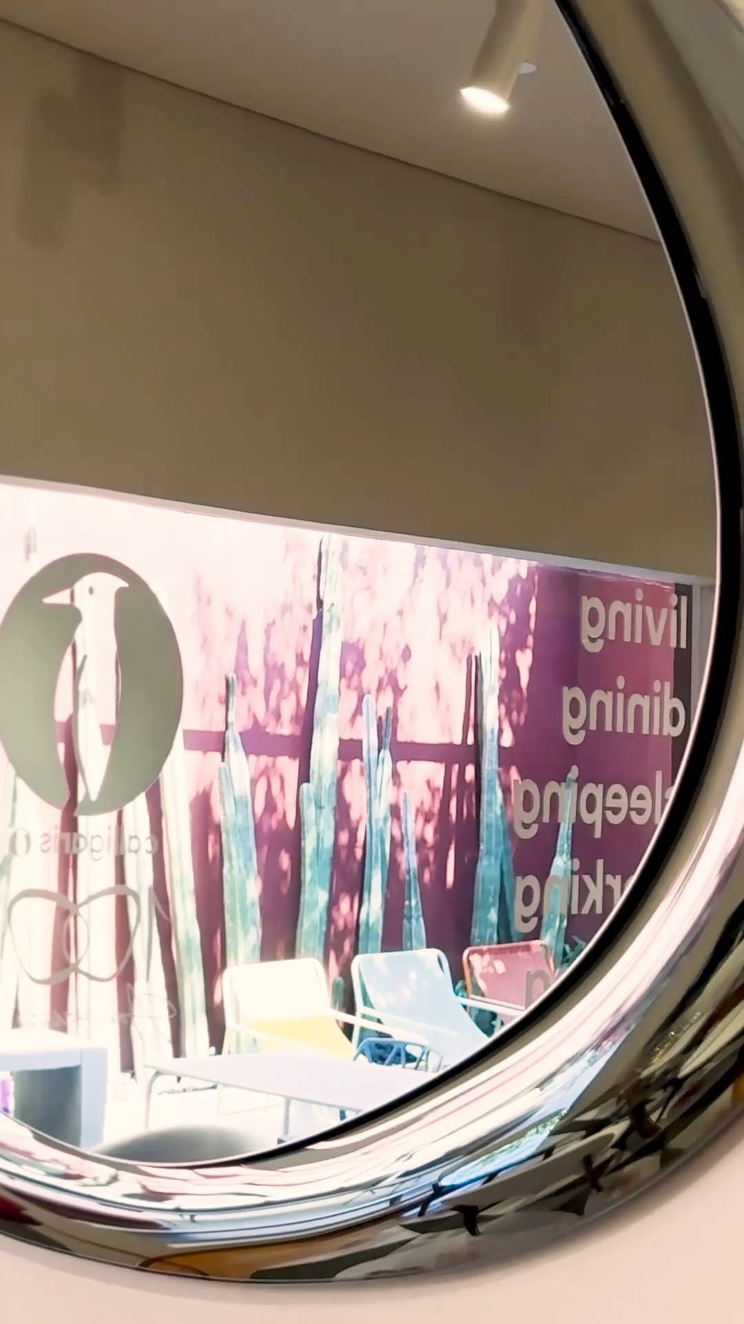 Post 4 by Calligaris México on Instagram (video)