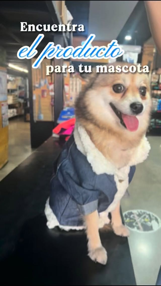 Post 2 by PET PAW on Instagram (video)