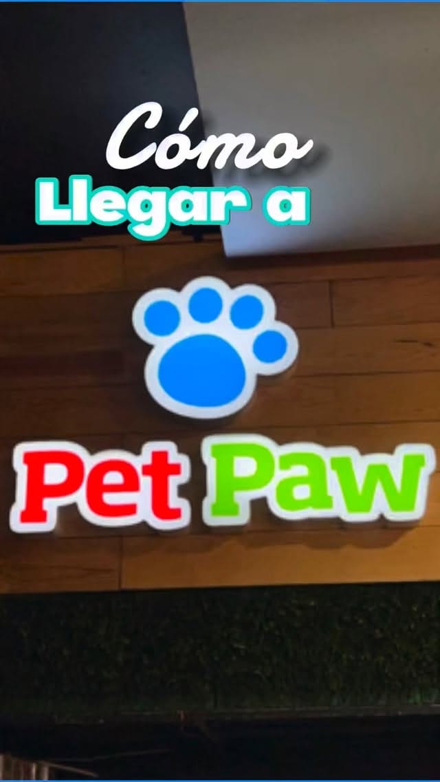 Post 6 by PET PAW on Instagram (video)