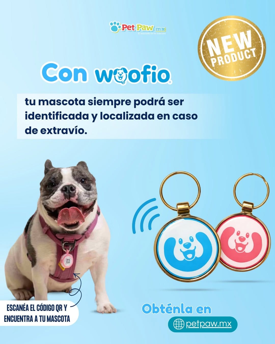 Post 1 by PET PAW on Instagram (image)
