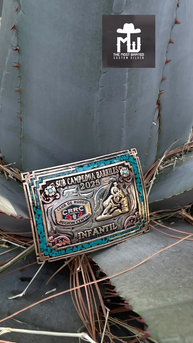 Post 6 by The Most Wanted Custom Silver / Hebillas TMW on Instagram (video)