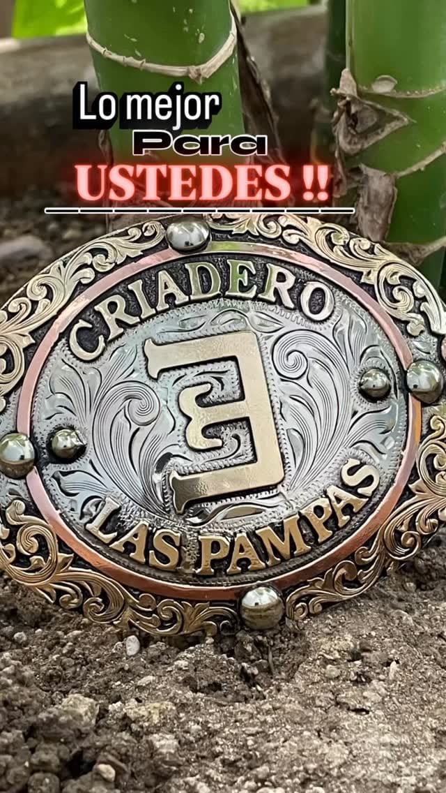 Post 7 by The Most Wanted Custom Silver / Hebillas TMW on Instagram (video)
