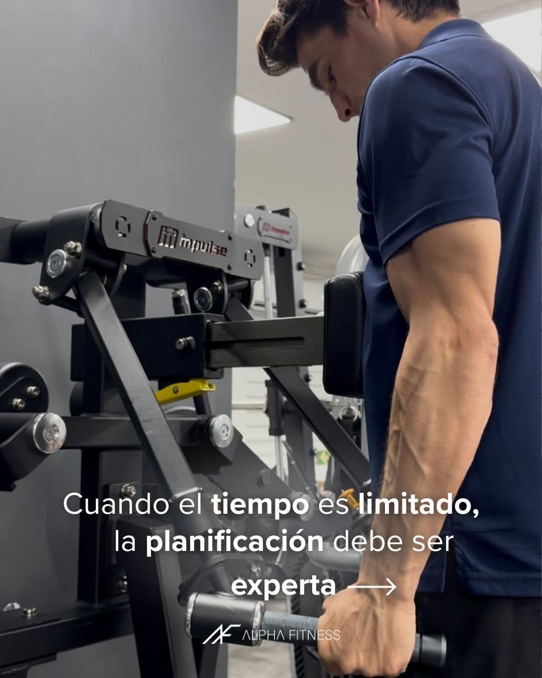 Post 10 by Alpha Fitness on Instagram (carousel)