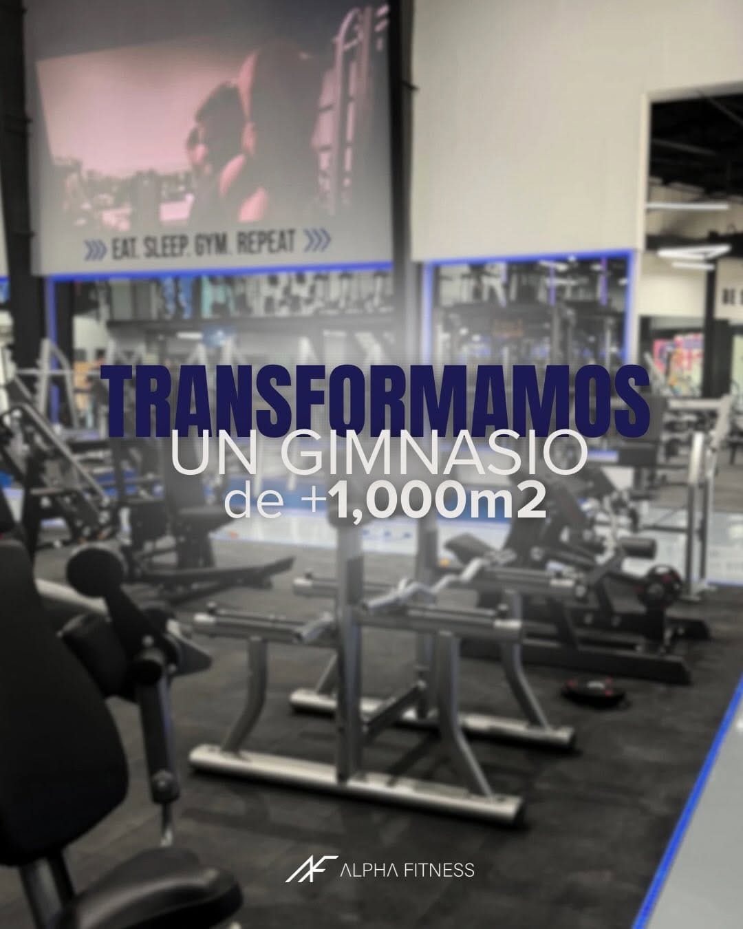 Post 4 by Alpha Fitness on Instagram (carousel)