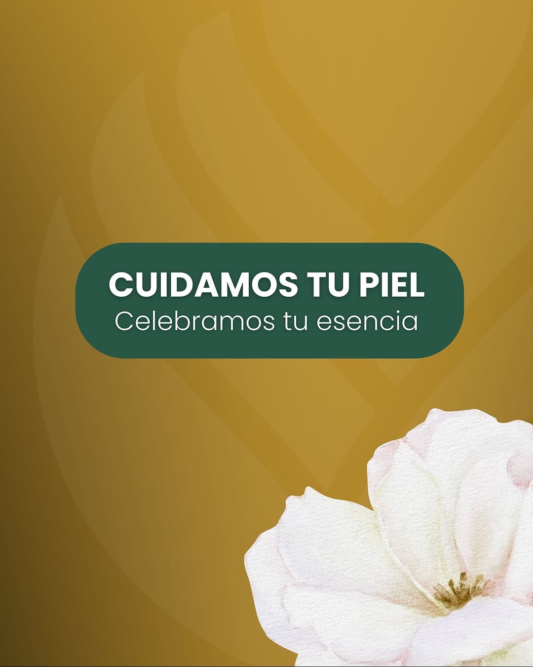 Post 10 by Derma Latina on Instagram (carousel)