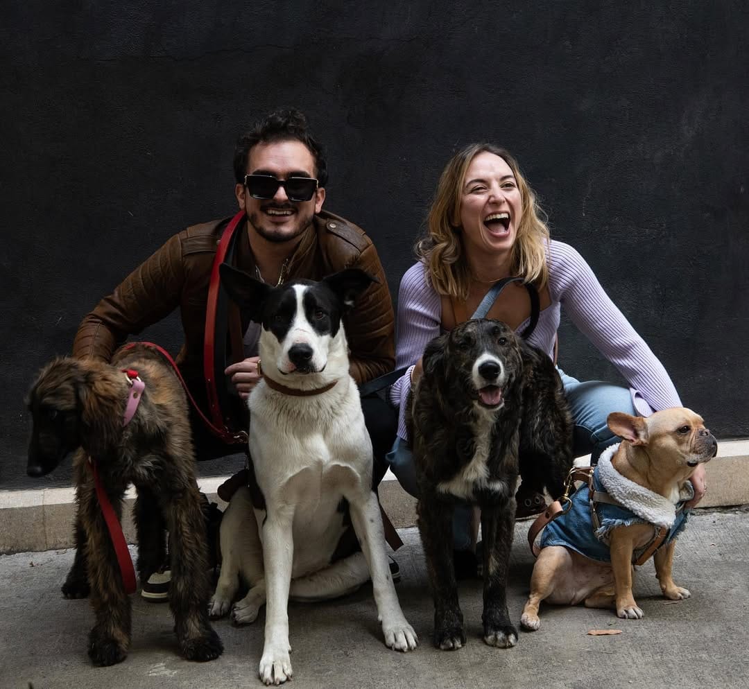 Post 10 by Cleto El Influencer® | Accesorios y Premios para Mascotas on Instagram (image)