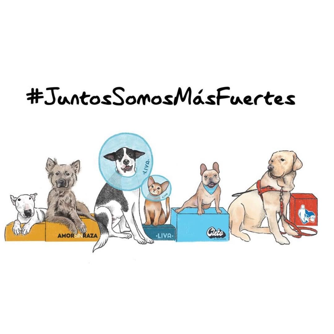 Post 9 by Cleto El Influencer® | Accesorios y Premios para Mascotas on Instagram (image)