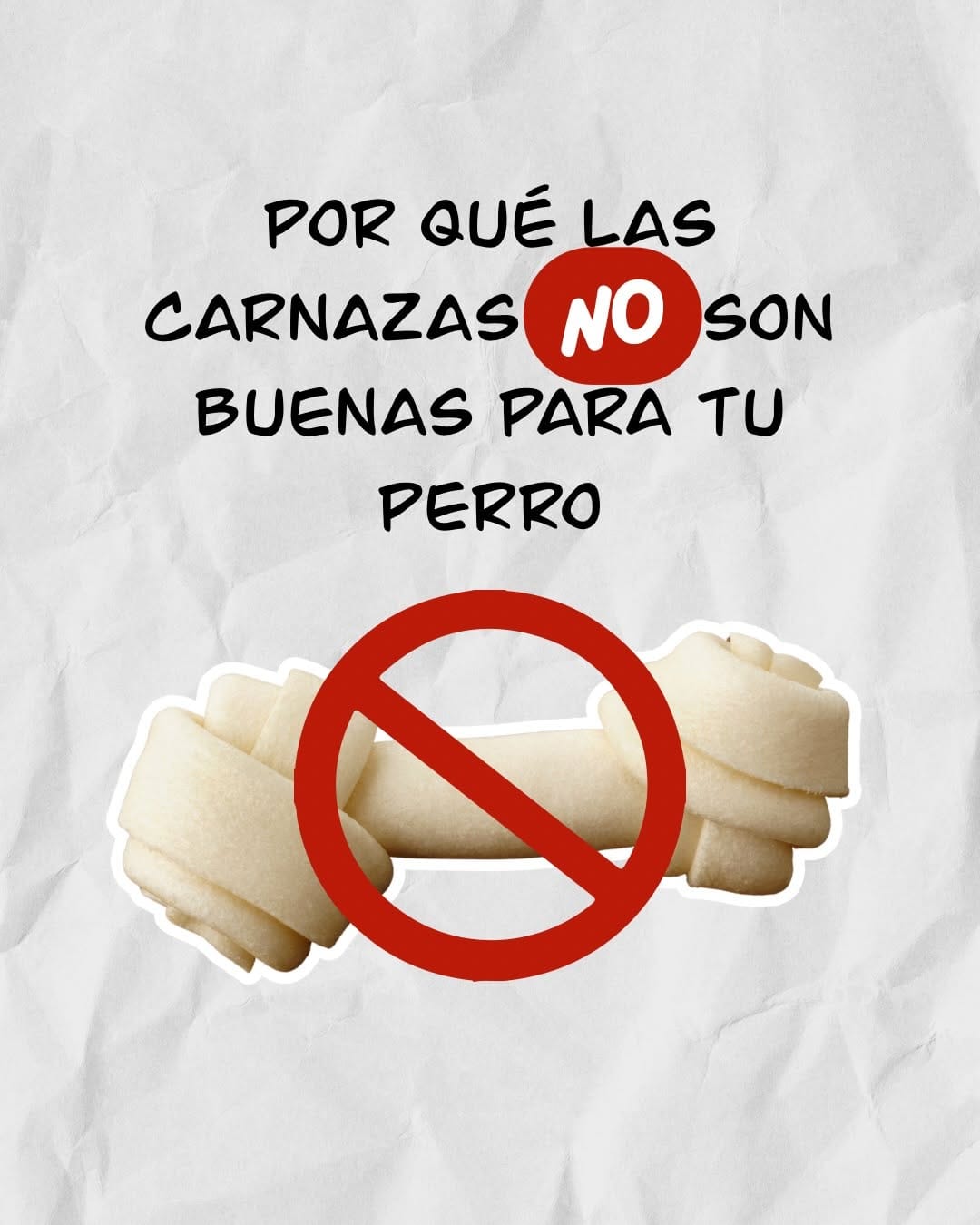 Post 4 by Cleto El Influencer® | Accesorios y Premios para Mascotas on Instagram (carousel)