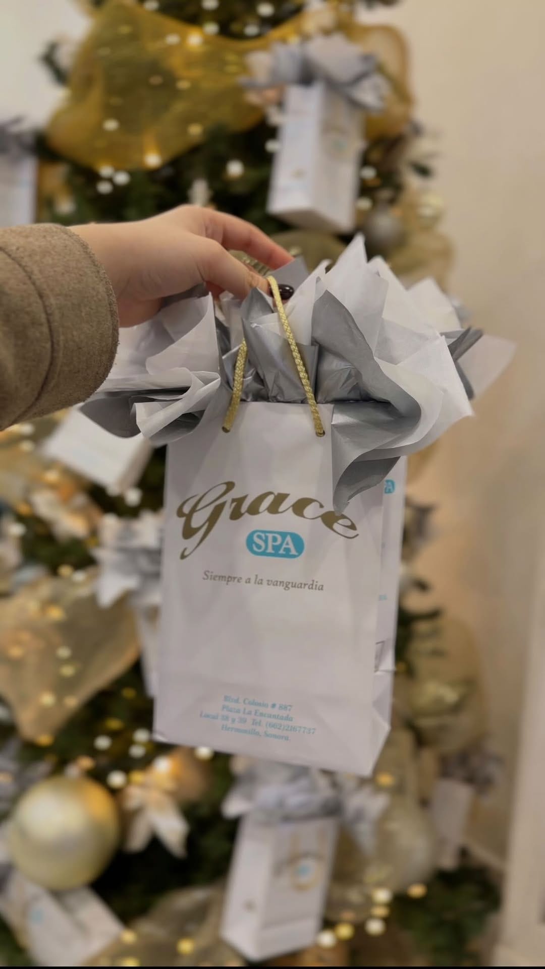 Post 6 by Grace Spa® | Clínica Integral de Belleza on Instagram (video)