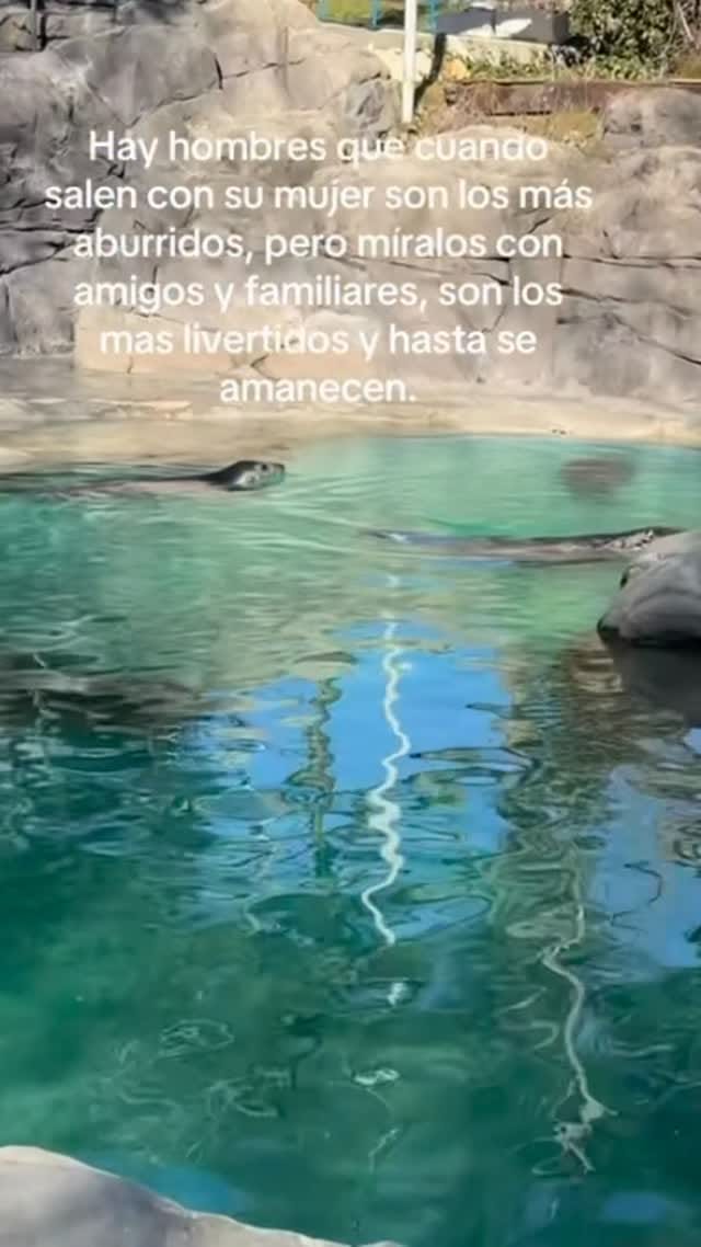 Post 3 by Nat_waltero on Instagram (video)