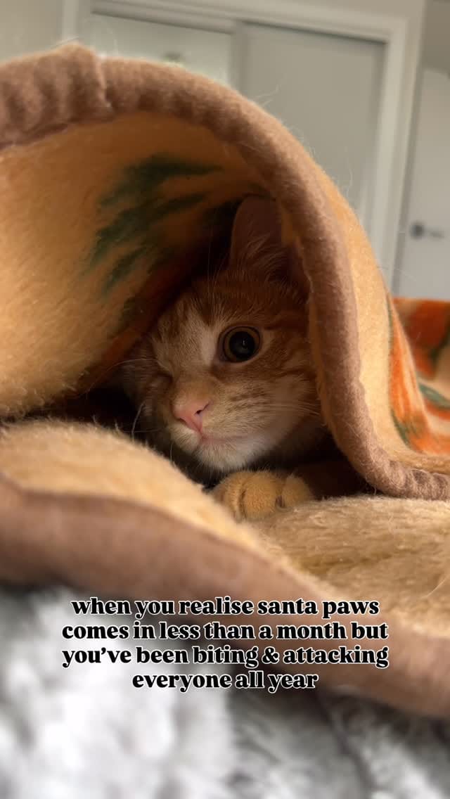 Post 5 by @thefatbeans on Instagram (video)