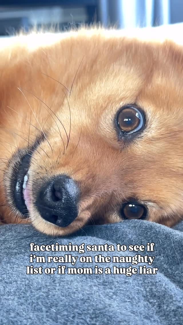 Post 4 by @thefatbeans on Instagram (video)