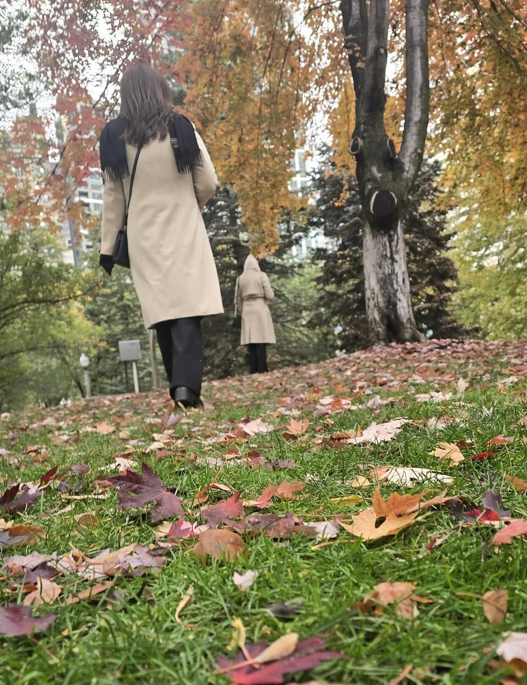 Post 1 by Ana Maria Carranza on Instagram (image)