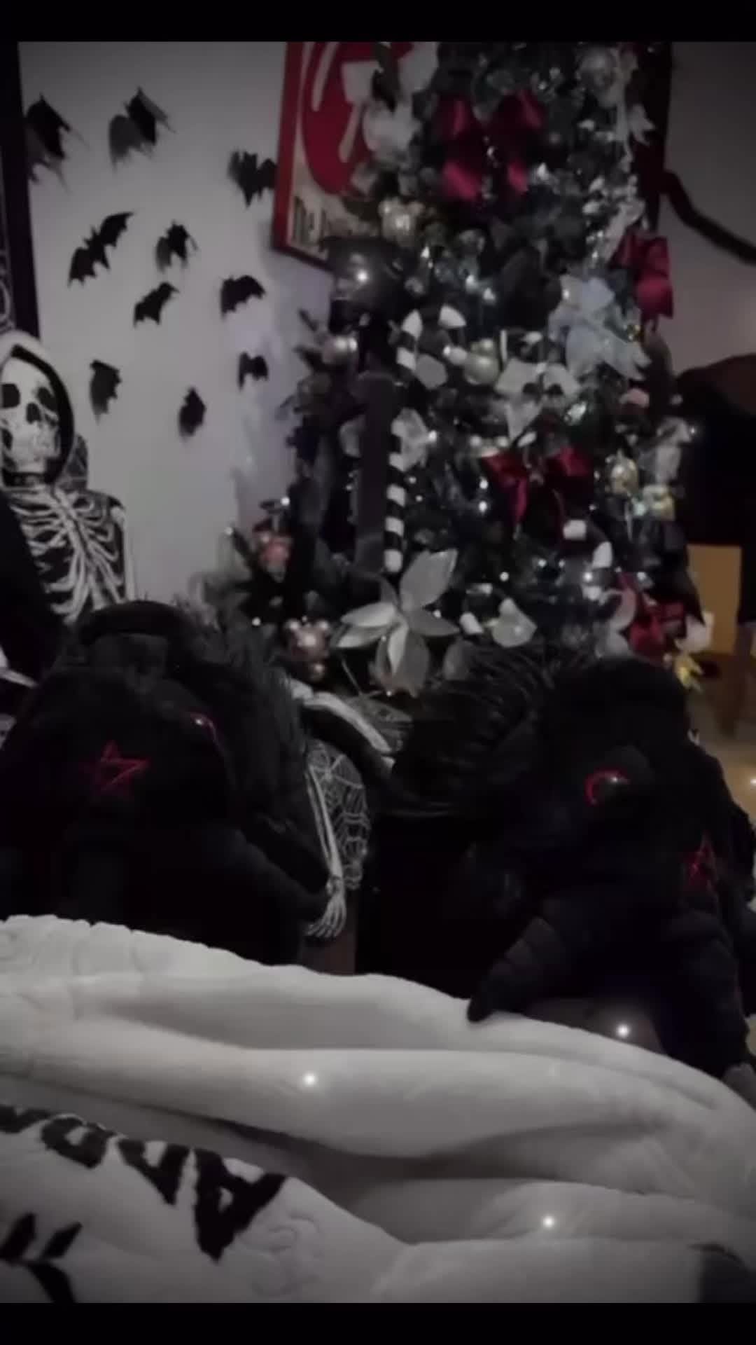 Post 9 by 𝕸𝖆𝖑𝖎𝖈𝖊  🖤 on Instagram (video)