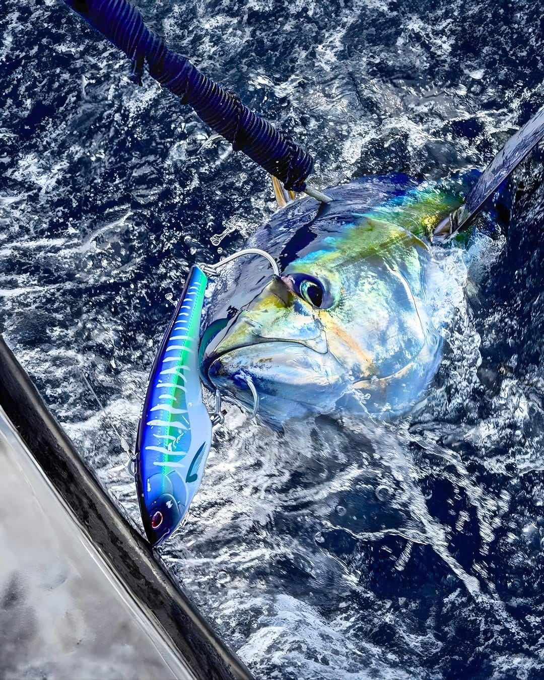 Post 8 by Blue Bite Bait & Tackle on Instagram (image)