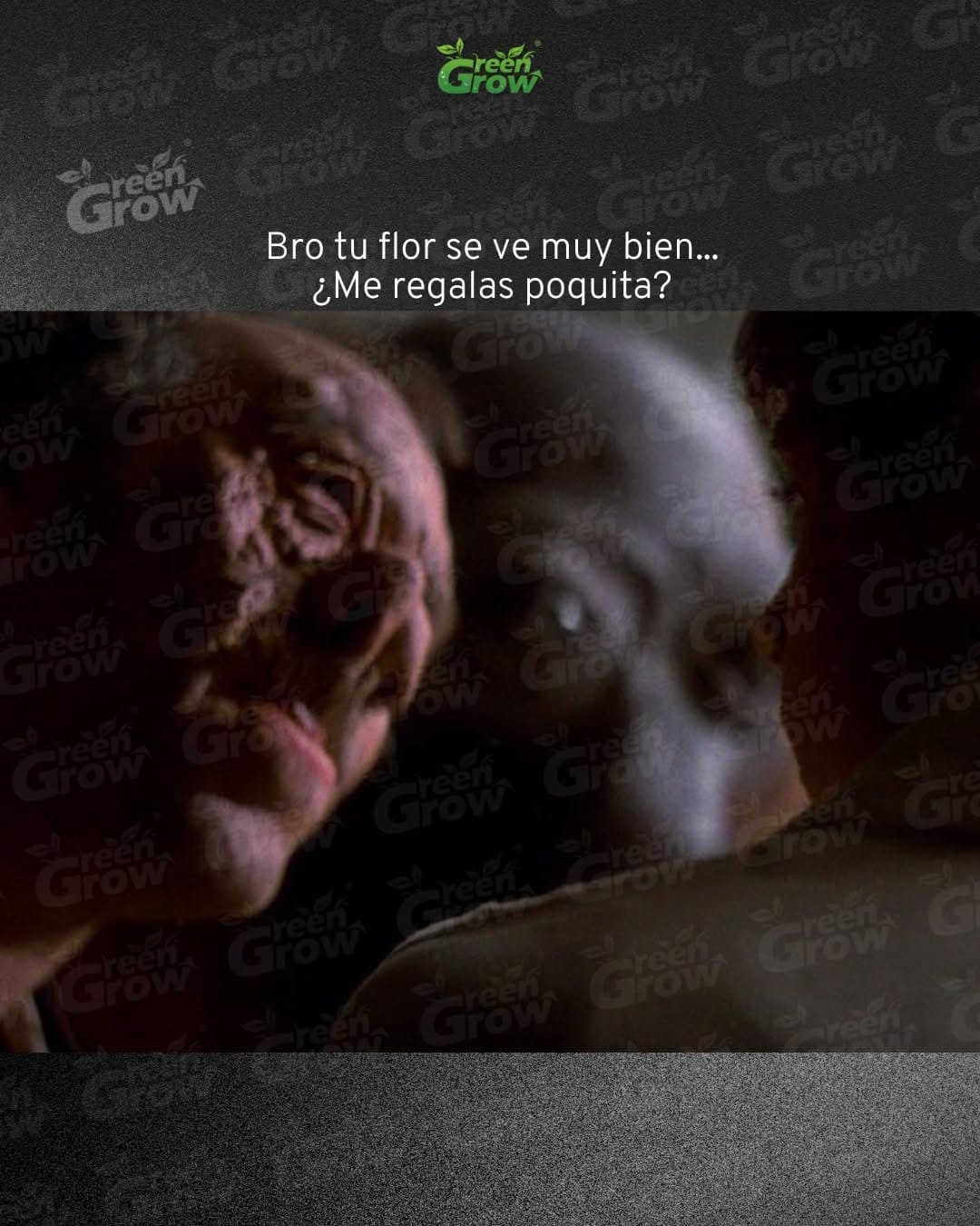 Post 5 by Green Grow ® - Grow Shop on Instagram (image)