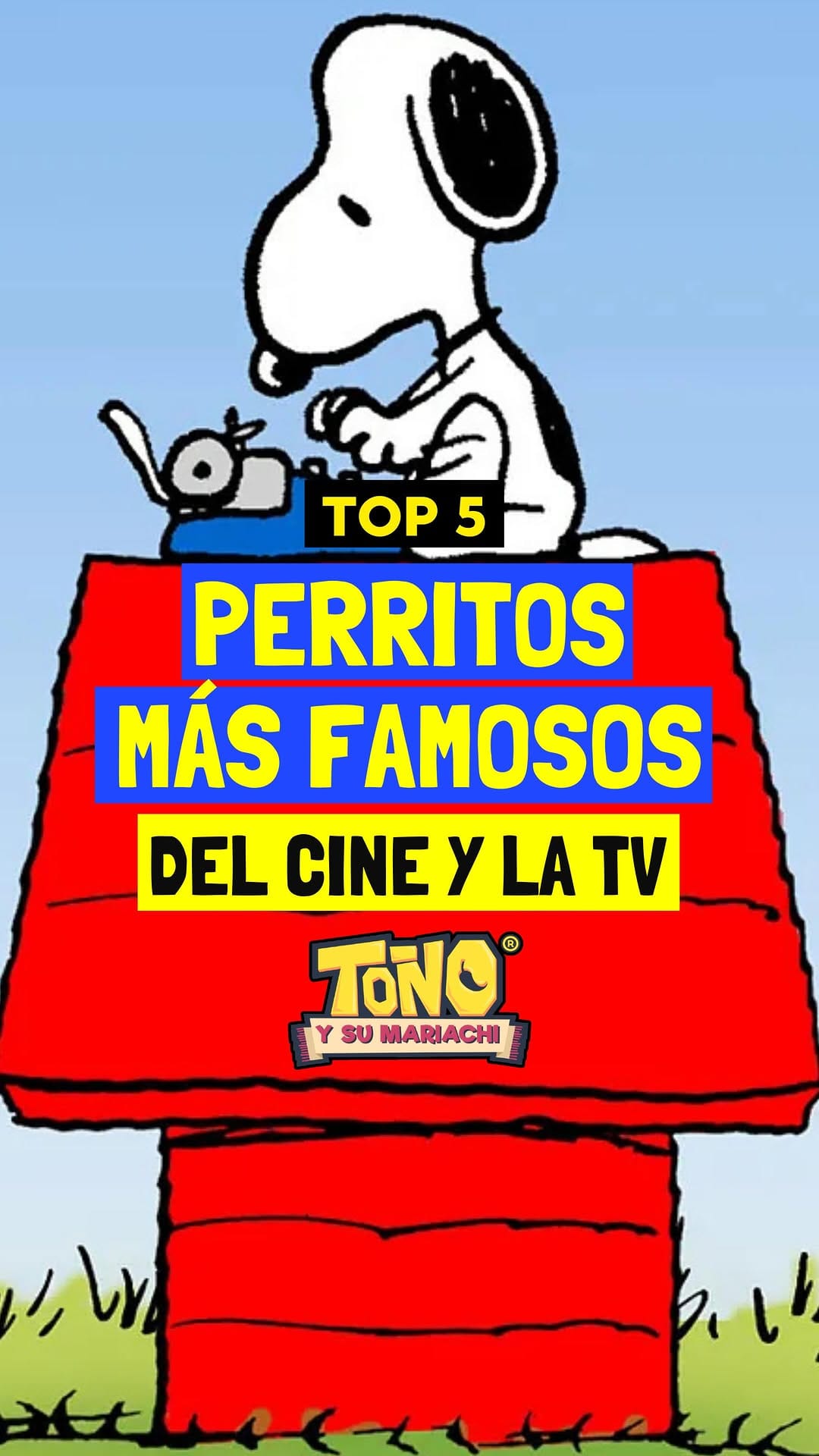 Post 9 by Toño y su mariachi on Instagram (video)