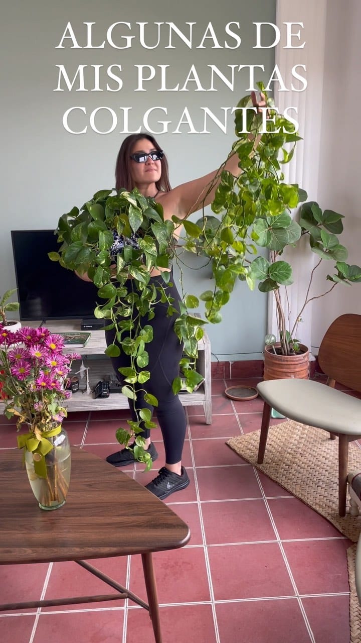 Post 8 by QUINTA MANIGUA on Instagram (video)