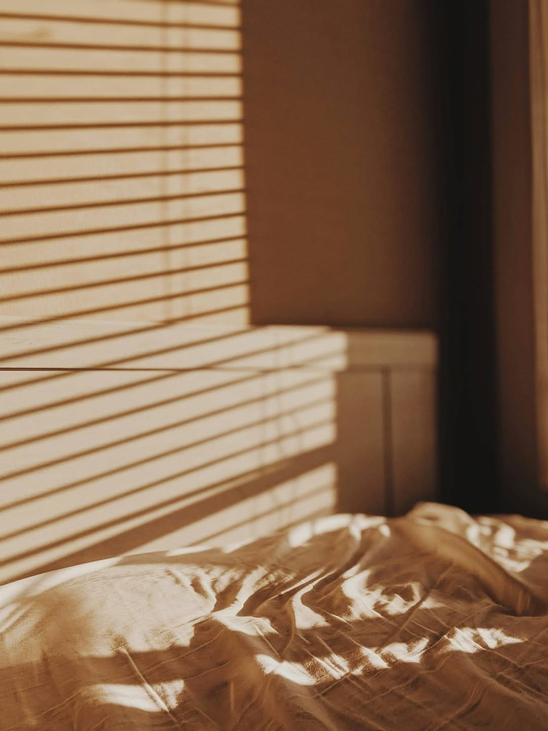 Post 1 by SCAPE on Instagram (image)