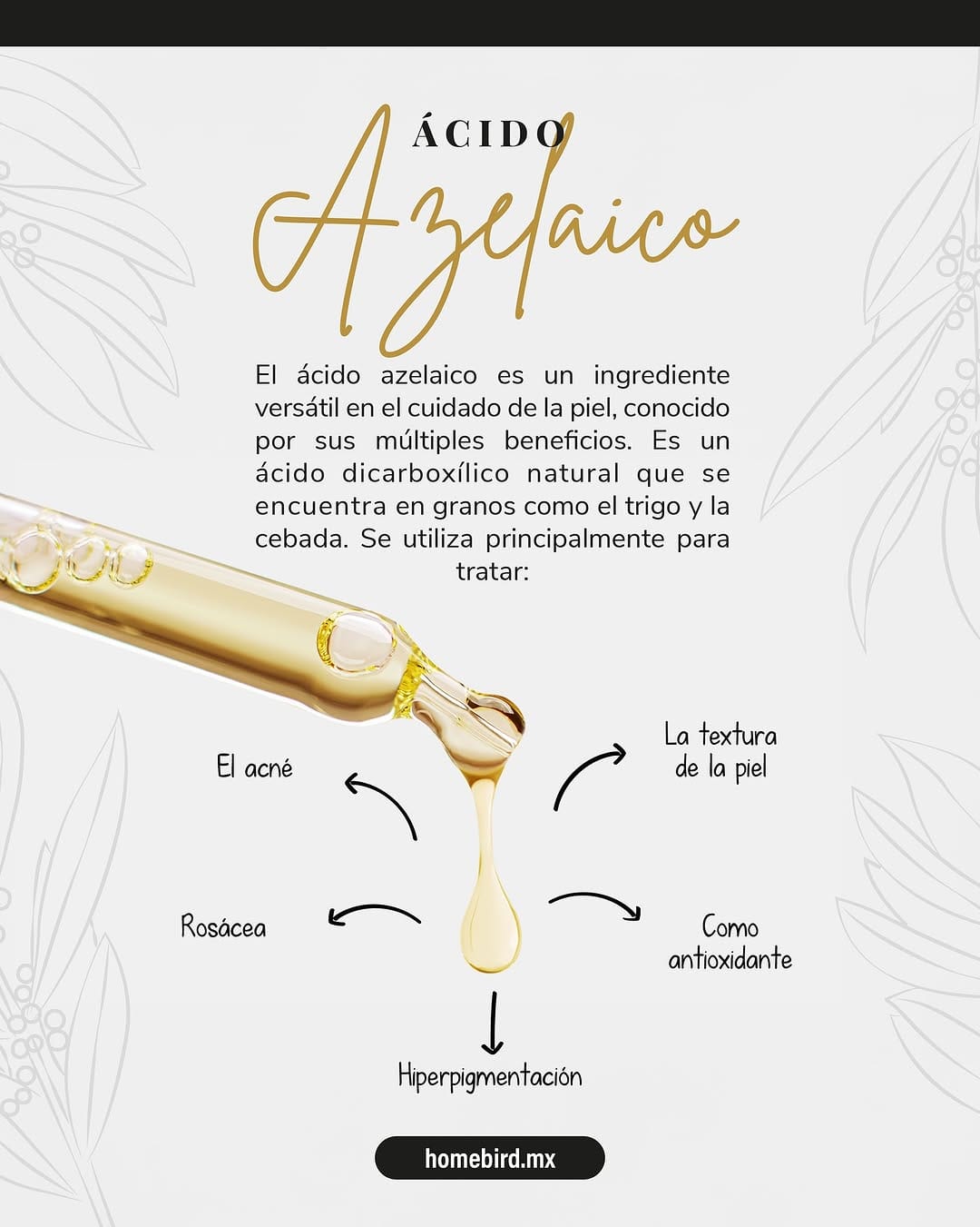 Post 10 by Homebird MX | Skincare on Instagram (carousel)
