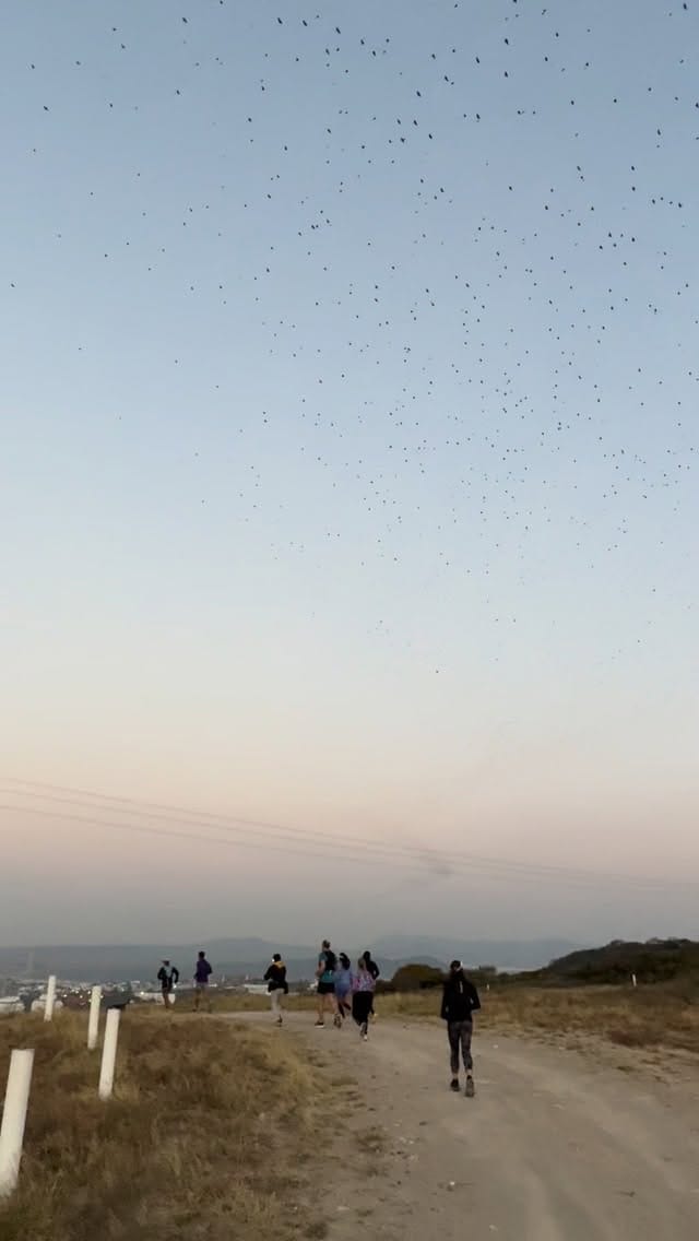 Post 3 by Sandra Guevara on Instagram (video)