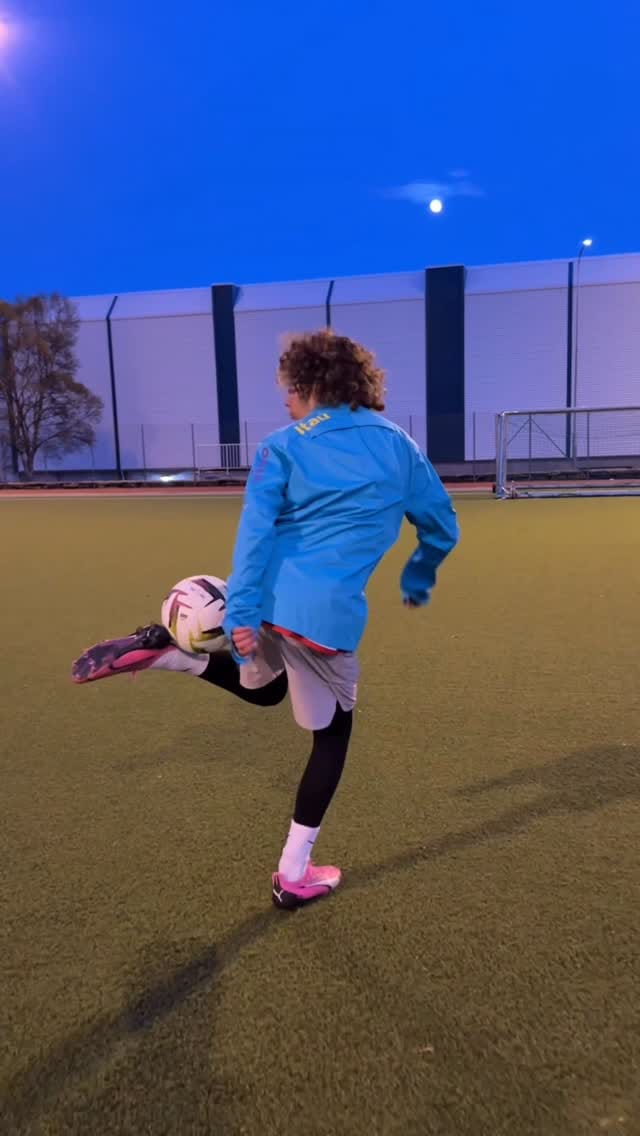 Post 1 by Leon Gillies Mannes on Instagram (video)
